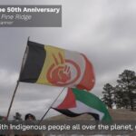 International Solidarity: Wounded Knee and Palestine